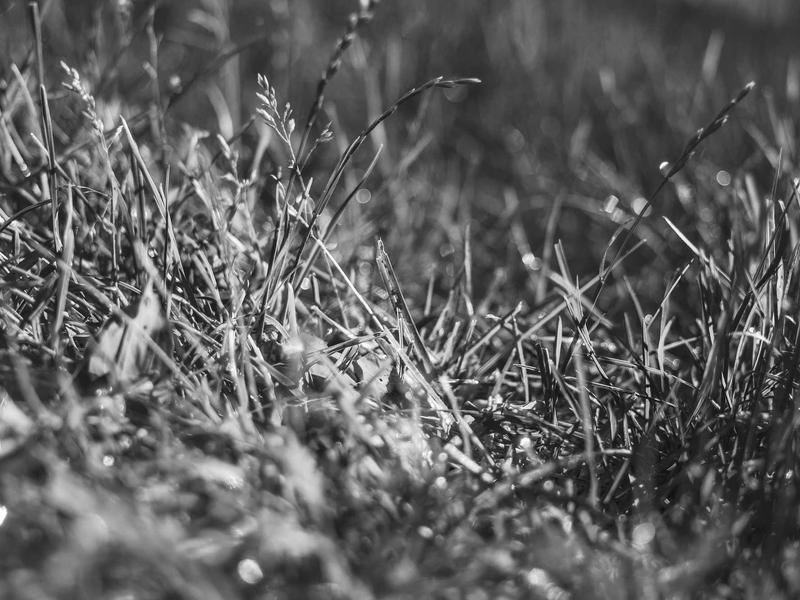 sudoku family sharing screenshot 2